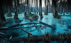 Featured image of post The tar pit