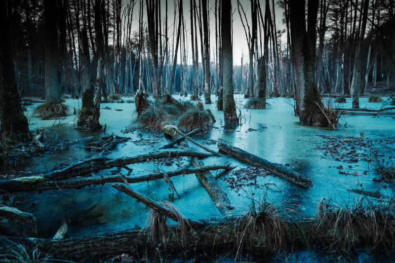 Featured image of post The tar pit